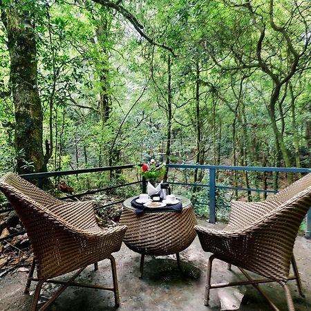 Ayar Jungle Resort Nainital Dış mekan fotoğraf