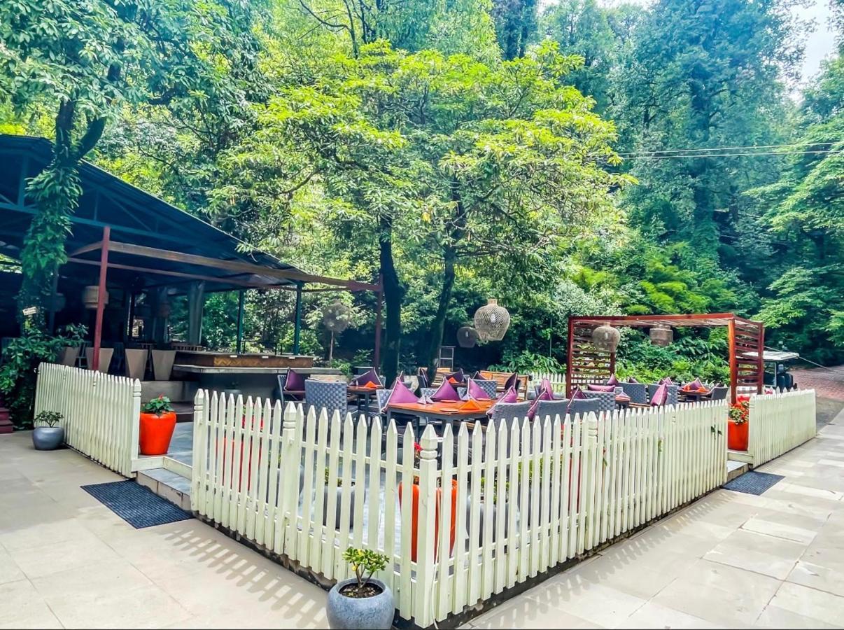 Ayar Jungle Resort Nainital Dış mekan fotoğraf