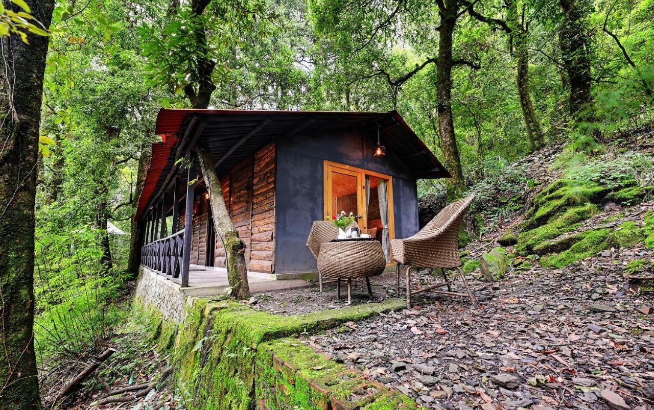 Ayar Jungle Resort Nainital Dış mekan fotoğraf